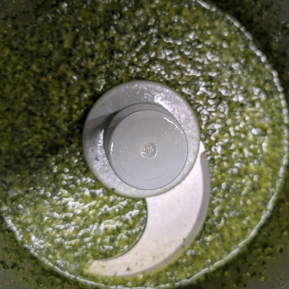 Basilikum Pesto 4 Basilikum Pesto frisch gecuttert