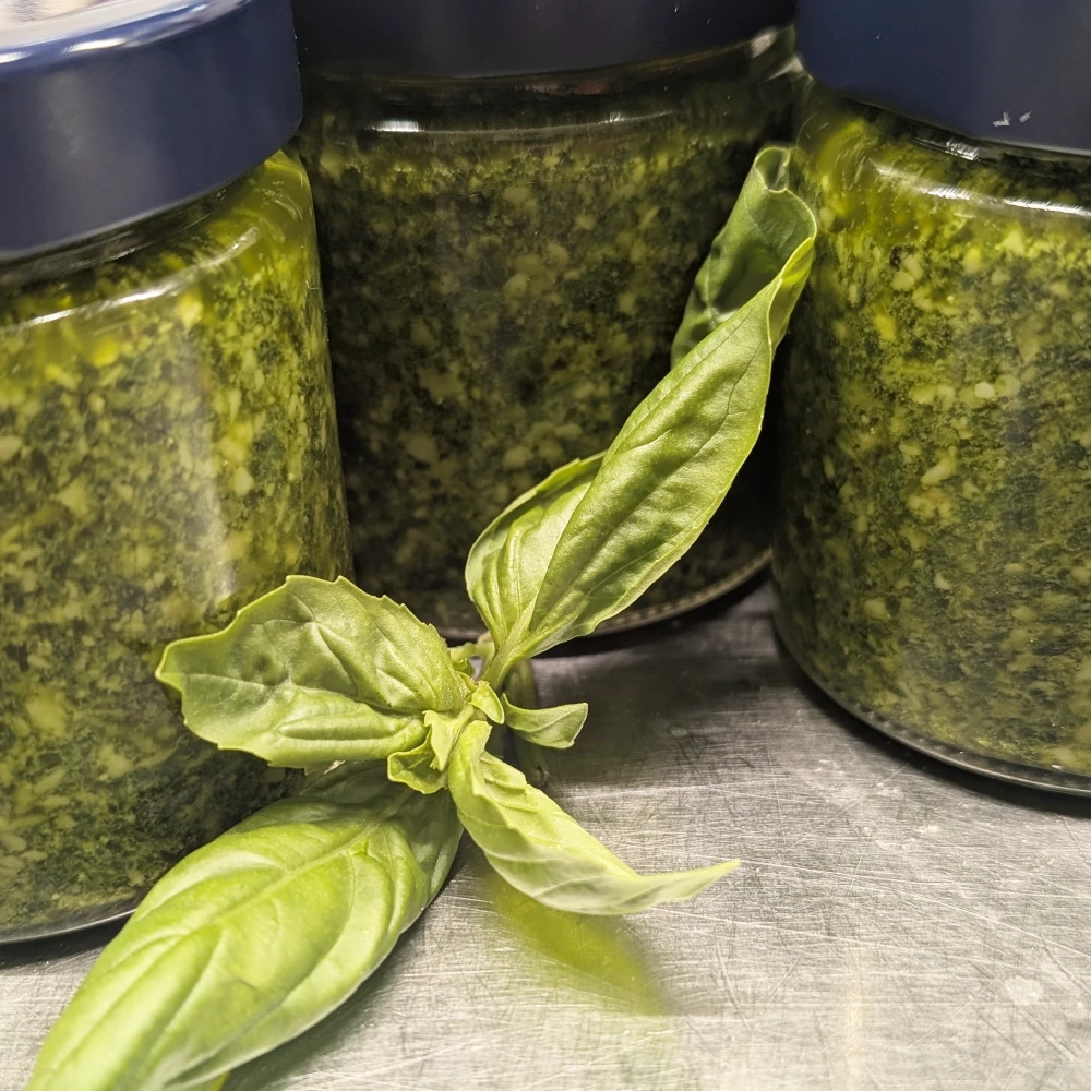 Basilikum Pesto