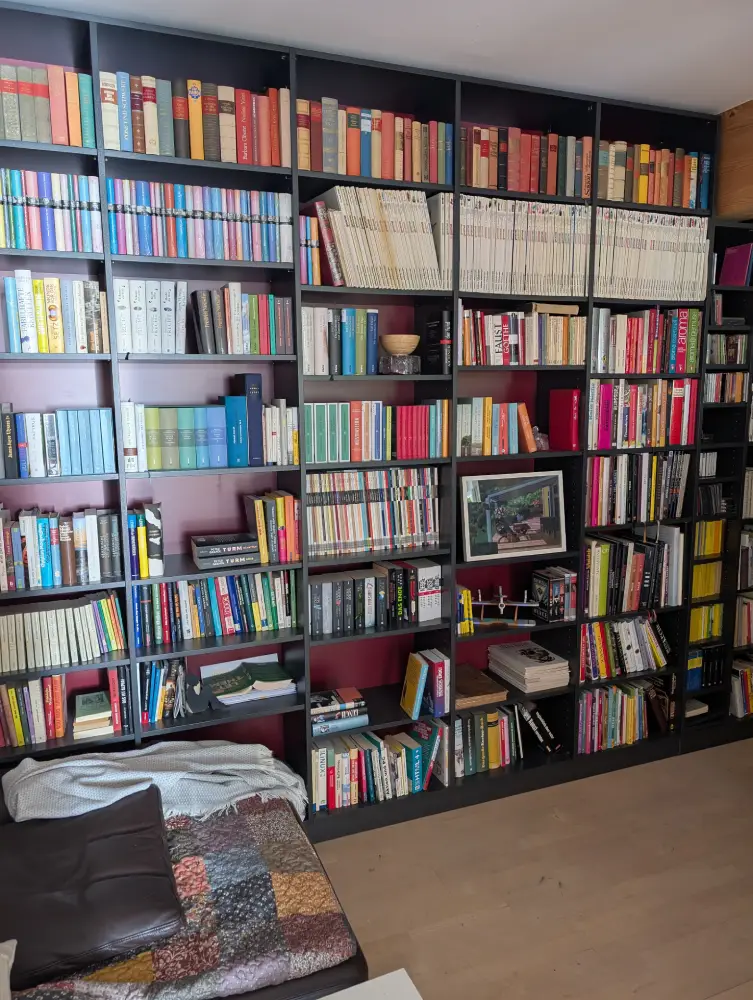 Meine Bücherwand