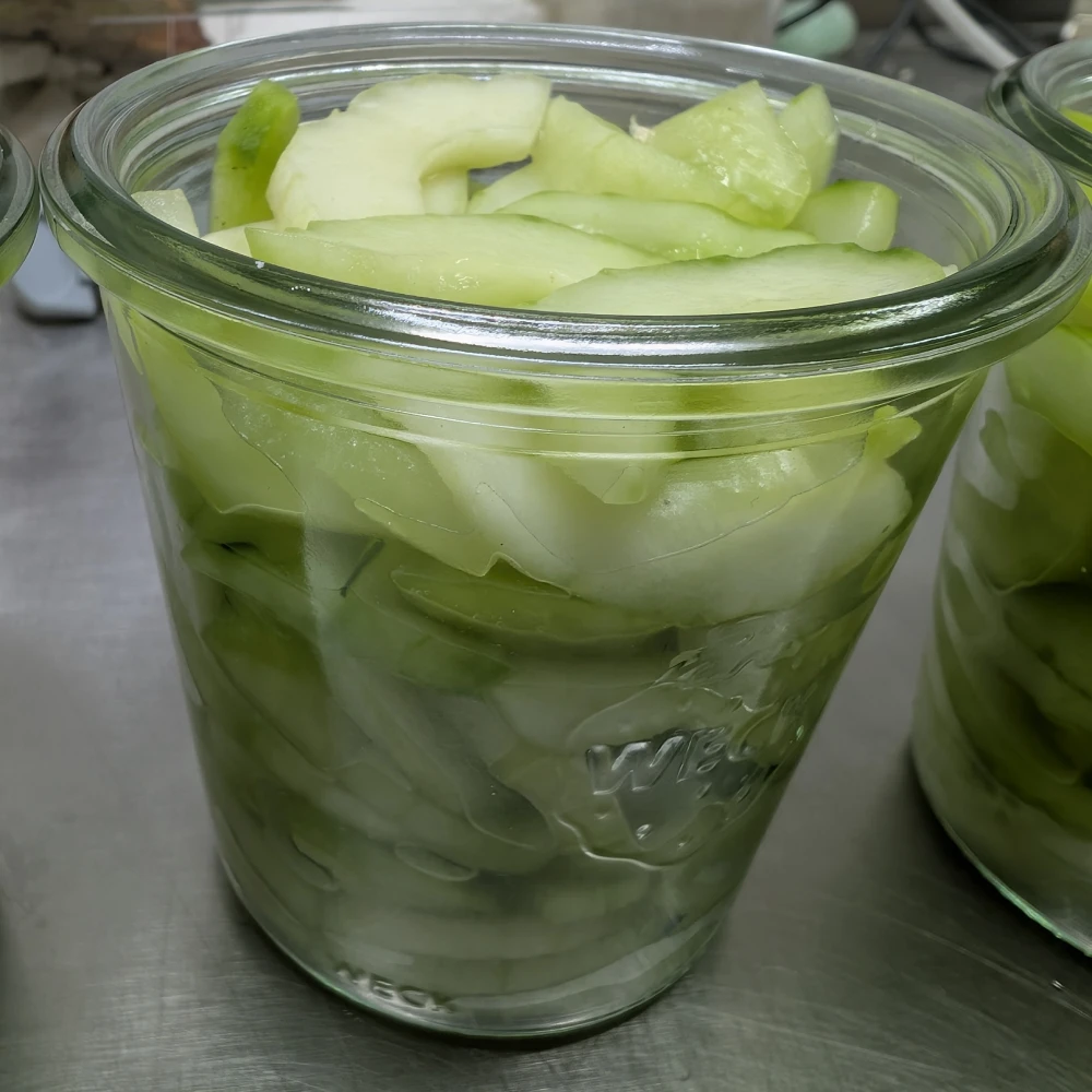 Startseite 2 Gurkensalat einkochen