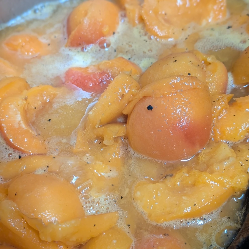 Marillenmarmelade 1 Marillen mit Wasser und Vanille aufkochen