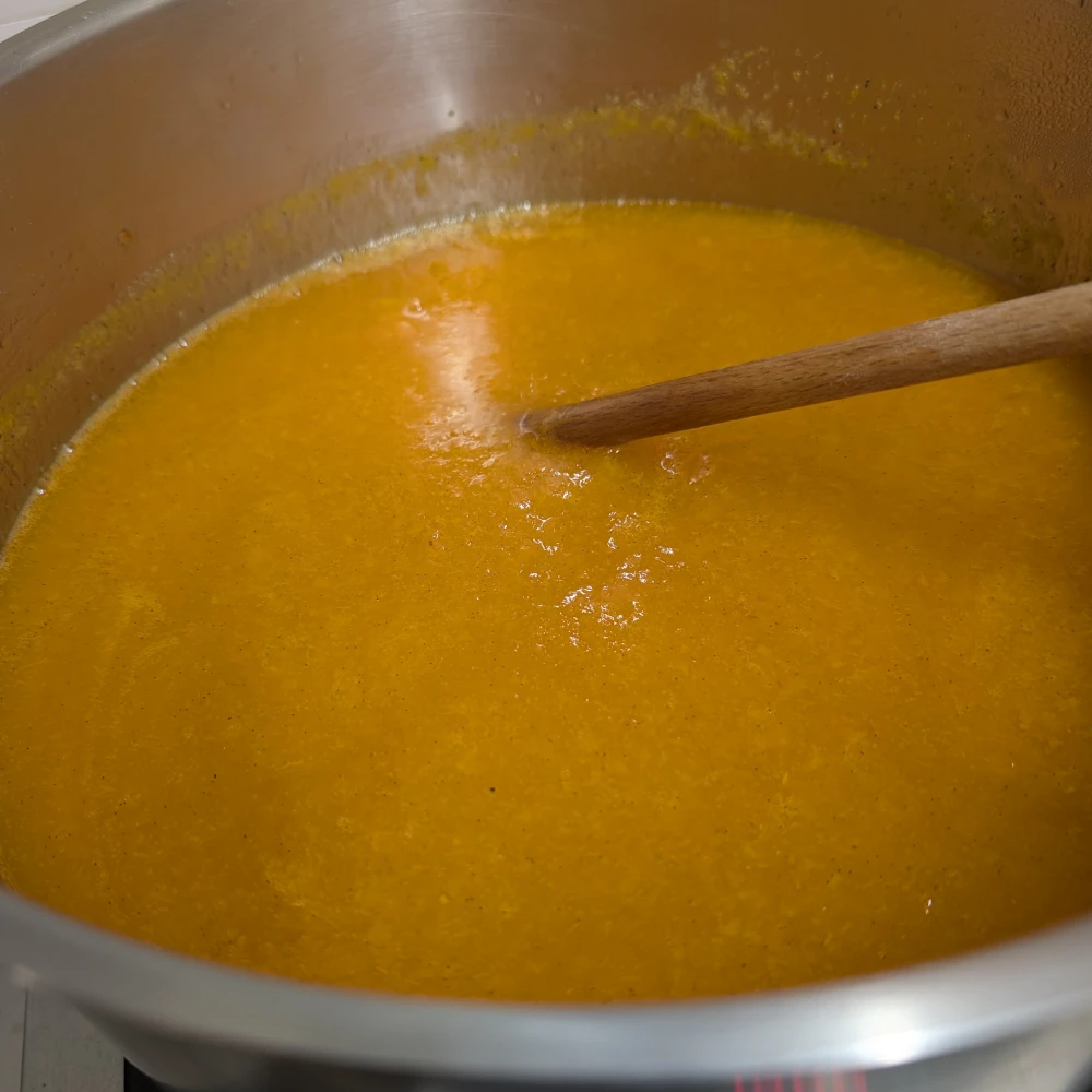 Marillenmarmelade 2 Marillen mit dem Stabmixer mixen