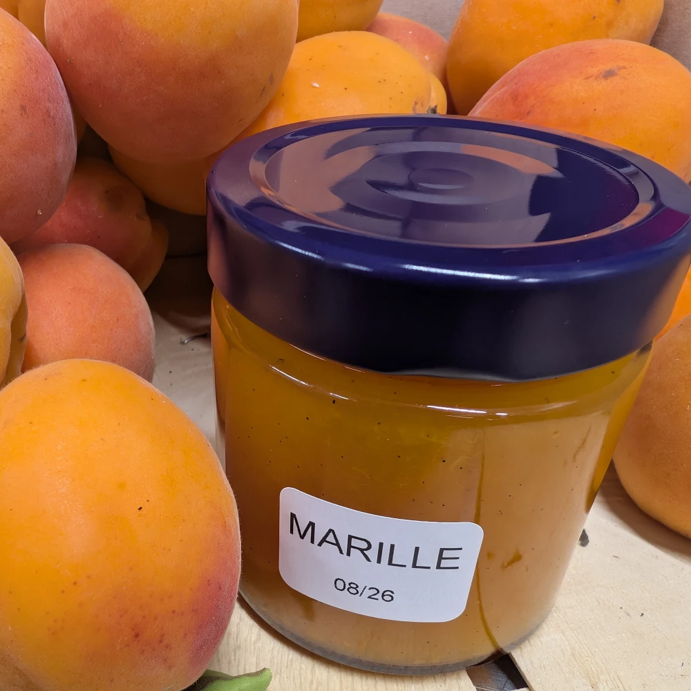 Startseite 12 Hausgemachte Marillenmarmelade mit Vanille