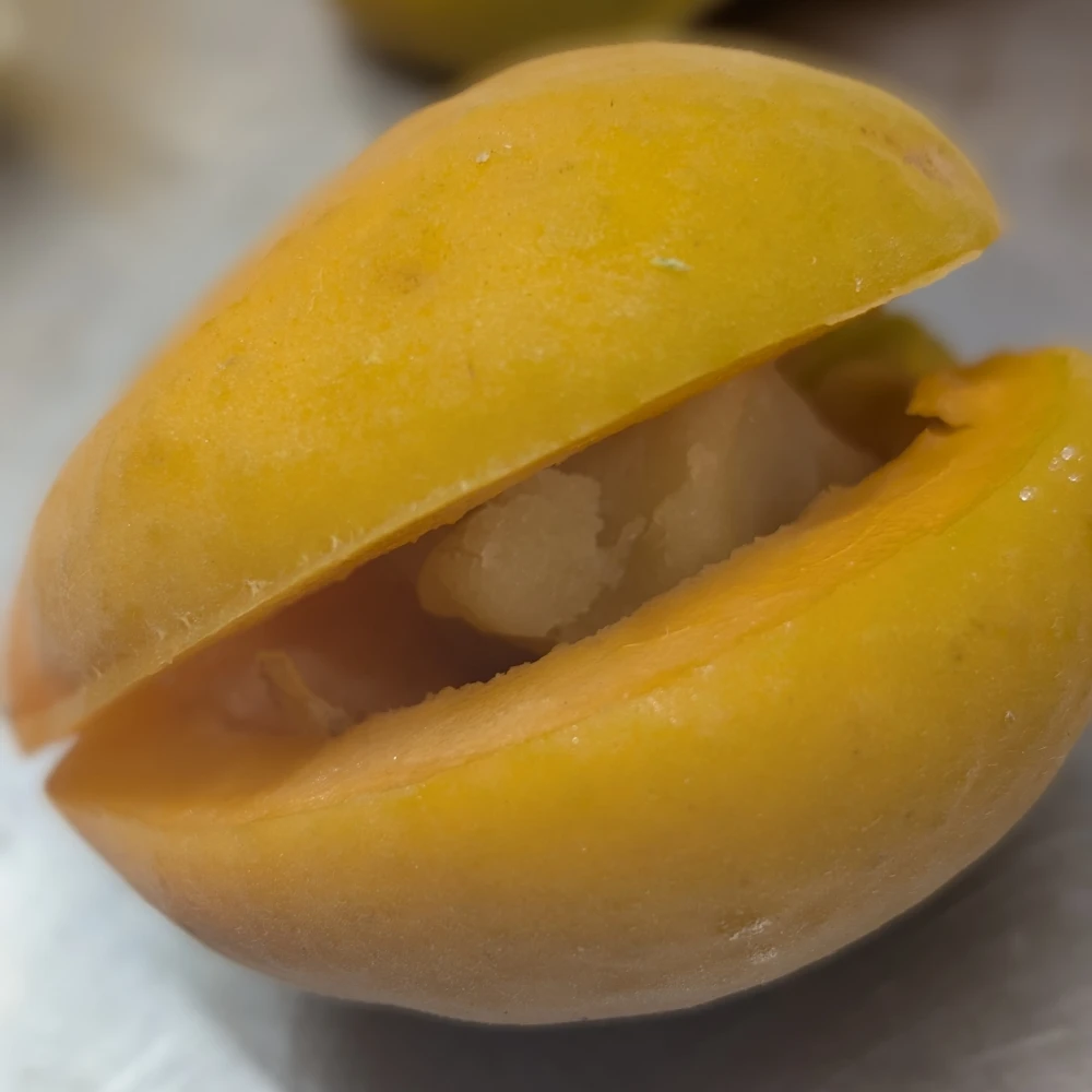 Marillenknödel 2 Marillen aufschneiden und den Kern mit Marzipan ersetzen