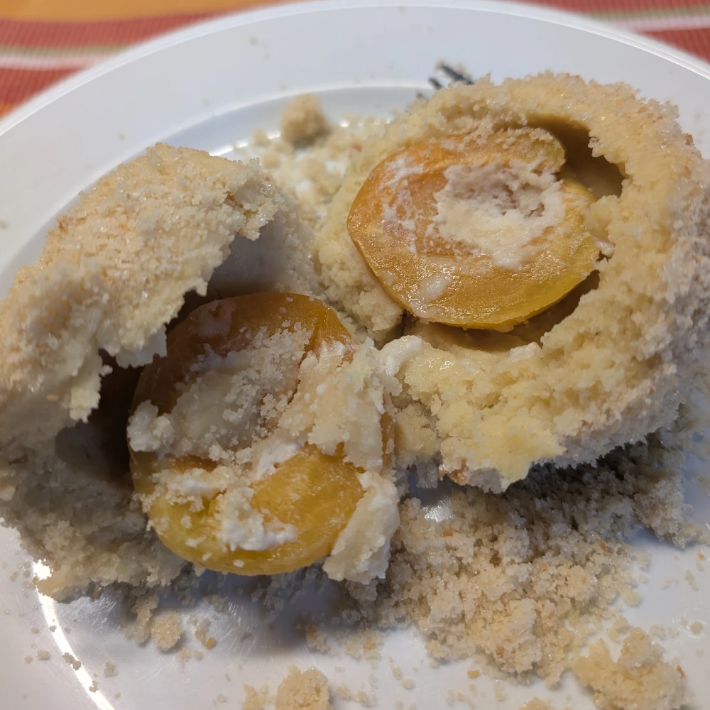 Startseite 10 Marillenknödel, mit Kartoffelteig und Marzipankern