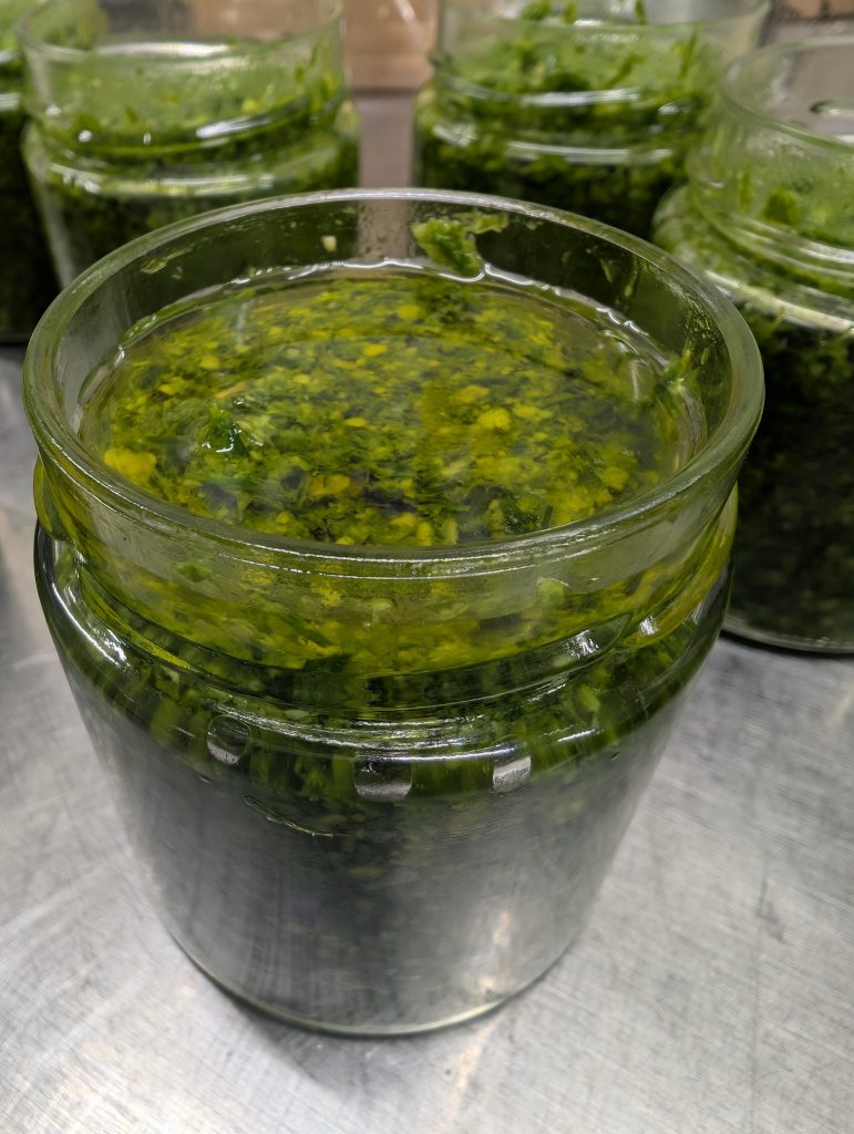 Schnittlauch Pesto 2 Schnittlauch Pesto mit Cashewkerne, mit Olivenöl bedeckt